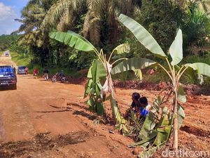 4 Kehebohan Jalan Rusak yang Bikin Gubernur Riau Semprot Kadis PU