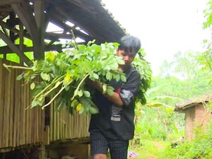 Yuk Bantu Diva Berjuang Bertahan Hidup dengan Ibunya yang Stroke!