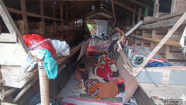 Korban gempa Cianjur ngungsi di kandang kambing.