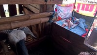 Seorang warga tampak tertidur pulas.