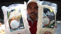 Tanaman ini dijual dengan kisaran harga Rp 20 ribu-Rp 24 ribu per kilogram. 