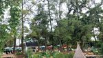 Foto: Tempat Nongkrong di Tangsel Berasa di Lembang