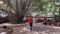 Bicara kuliner di Tangerang Selatan memang tidak akan ada habisnya. Salah satu tempat menarik yang bisa kamu datangi adalah Warung Tuman yang berlokasi di Jalan Ciater Tengah, Serpong, Tangsel ini.