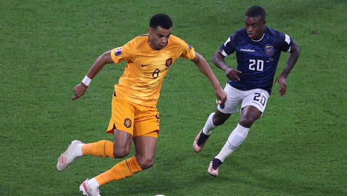 DOHA, QATAR - NOVEMBER 25: Cody Gakpo of Netherlands celebrates with teammates after scoring their teams first goal during the FIFA World Cup Qatar 2022 Group A match between Netherlands and Ecuador at Khalifa International Stadium on November 25, 2022 in Doha, Qatar. (Photo by Laurence Griffiths/Getty Images)