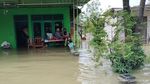 Potret Warga Bojonegoro Dua Hari Terendam Banjir