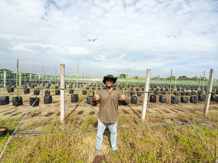 Banting Setir Jadi Petani Sayur, Mantan Karyawan Ini Sukses Raup Cuan