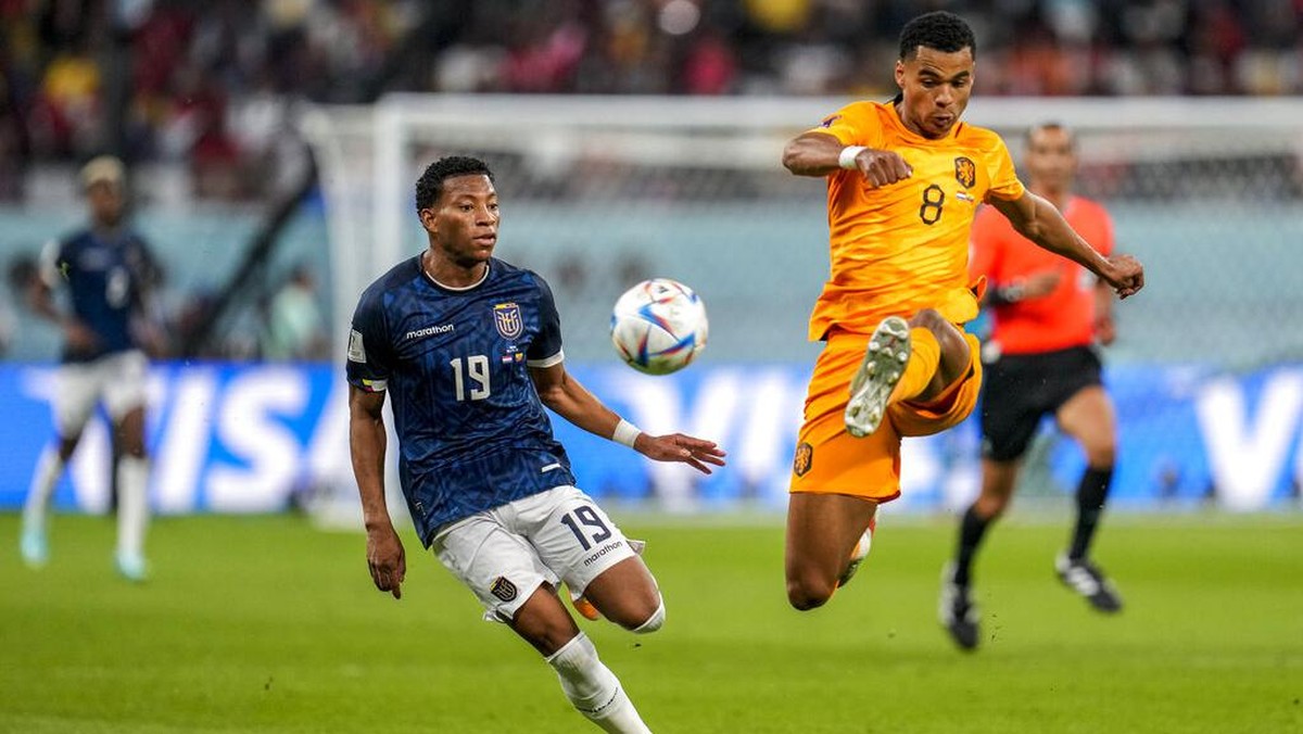 Duel Belanda vs Ekuador di lanjutan Grup A Piala Dunia 2022 berakhir 1-1 (Foto: AP/Natacha Pisarenko)