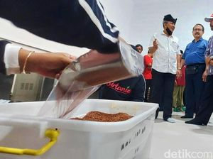 Permintaan Beras Organik Banyuwangi Capai Sedikitnya 250 Ton Per Bulan