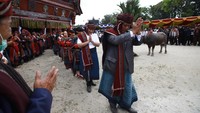 Prosesi diawali dengan kebaktian serta penampilan tarian tor-tor dan diakhiri dengan magalahat horbo. 