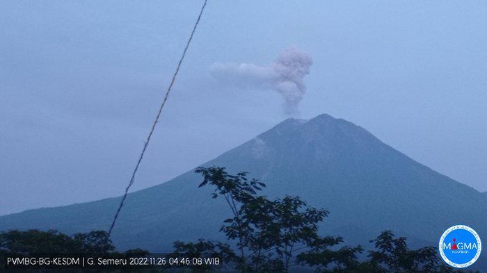 Gunung Semeru kembali erupsi. Warga yang berada di sekitaran kaki gunung diimbau untuk waspada akibat semburan awan panas hingga guguran lahar.