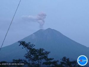 Gunung Semeru Erupsi, Tinggi Kolom Abu 700 Meter di Atas Puncak