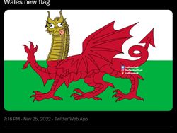 Iran Menang dari Wales 2-0, Fans Iran: Where is Gareth Bale?