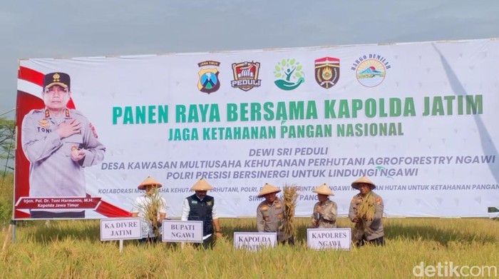 Kapolda Jatim Irjen Toni Harmanto 
mengikuti tradisi Methil sebagai tanda panen raya di Ngawi. Tradisi Methil digelar di persawahan Desa Katikan, Kecamatan Kedunggalar, Sabtu (26/11/2022).