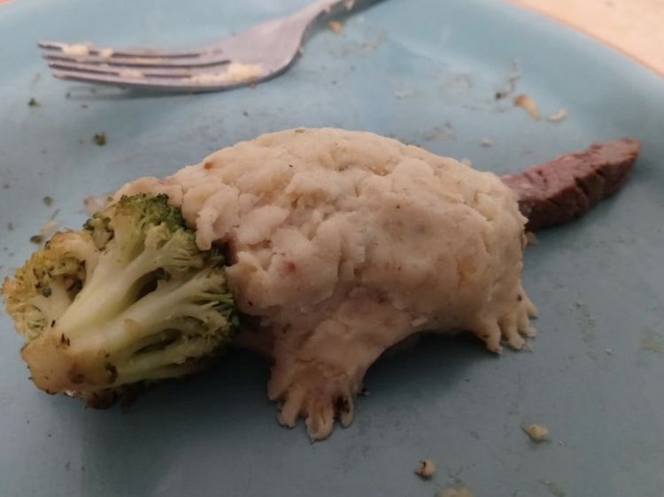 Kocak! Akun Instagram Ini Khusus Abadikan Makanan Gagal Netizen