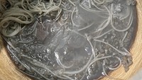 Pria ini curhat terkesima melihat masakan pacarnya. Bagaimana tidak? Spaghetti ini seperti berendam di kuah tinta!