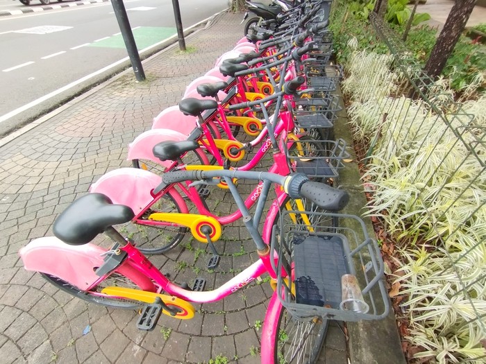 Layanan Sepeda Gowes di Taman Menteng