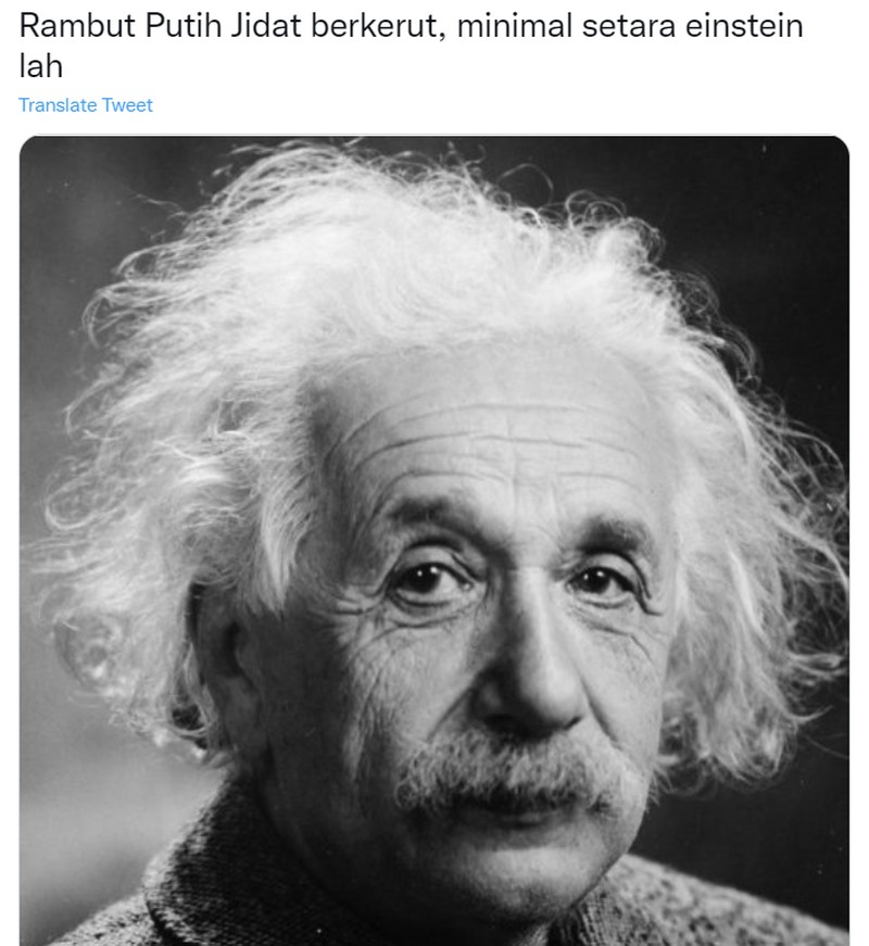 Meme Rambut Putih di Twitter Buatan Netizen