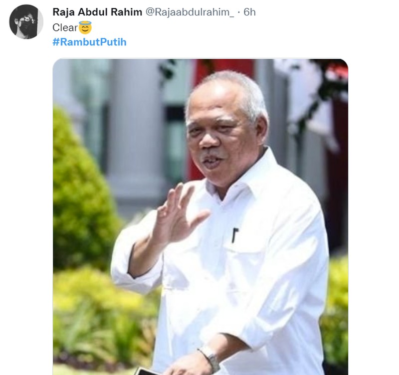 Meme Rambut Putih di Twitter Buatan Netizen