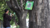 Pemerintah Kota Depok memasang QR code pada 1.500 pohon perindang di Jalan Margonda Raya dan Jalan Ir H Juanda dengan total anggaran Rp49 juta.
