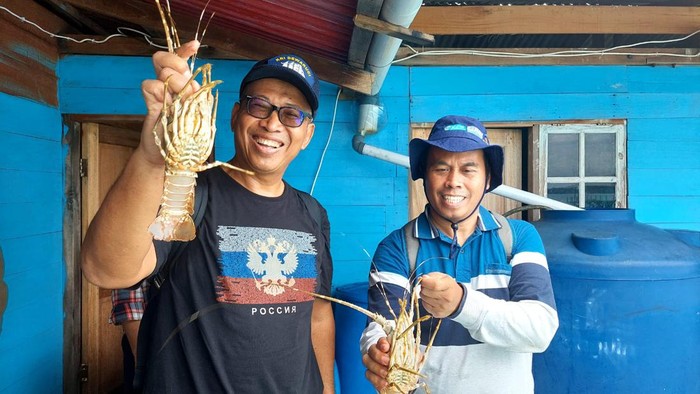Sea Farming yang diimplementasikan di Pulau Panggang, Kepulauan Seribu sejak 2006 telah memproduksi sebanyak 22,3 ton ikan kerapu dengan nilai mencapai Rp 2,97 miliar. (dok Istimewa)