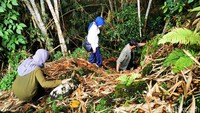Medan yang dilalui untuk sampai ke tujuan pun semakin terjal, mulai dari jalan berlumut, hutan bambu, hingga tumpukan batu-batu besar nan curam dan terjal.
