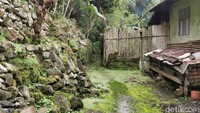 Jalan masuknya ada di samping rumah warga, menyusuri jalan setapak yang terus masuk ke dalam hutan di Desa Lada Ake. (Eduardo Simorangkir)