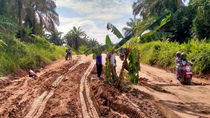 Warga saat tanam pohon di jalan rusak