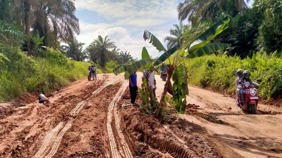 Potret Jalan Rusak di Pelalawan yang Ditanami Pohon Pisang