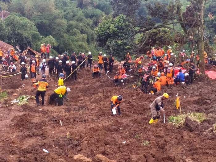 Coco anjing yang menemukan tiga korban gempa Cianjur.