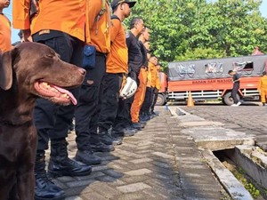 Bantu Tim SAR, Coco Anjing Temukan 3 Korban Gempa Cianjur Terkubur