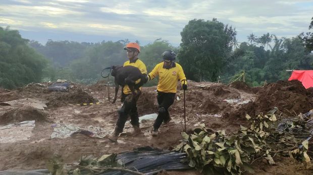 Coco anjing yang menemukan tiga korban gempa Cianjur.