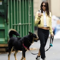 Pada Jumat (25/11/2022), Emrata, begitu sapaan akrabnya, tertangkap kamera paparazi sedang mengajak jalan anjingnya di jalanan Manhattan, NYC. Kombinasi crop-top yang mengekspos perut dan rok panjang lurus menjadi andalan. Sebuah jaket kulit berwarna kuning cerah menjaga Emily tetap hangat. (Foto: GC Images/Gotham)