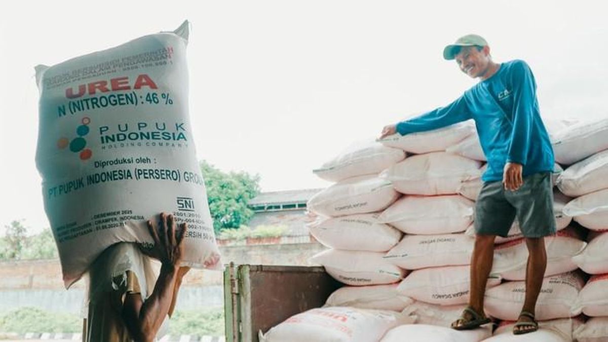 Pupuk Subsidi Tepat Sasaran, Strategi Tepat Pemerintah Tingkatkan Kesejahteraan Petani Pupuk Subsidi Tepat Sasaran, Strategi Tepat Pemerintah Tingkatkan Kesejahteraan Petani