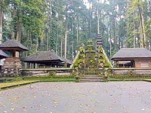 Mitos Kawanan Monyet di Sangeh-Malapetaka Jika Berani Melukai