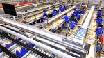 Pernah Beli Jeruk dari China? Begini Cara Packing-nya