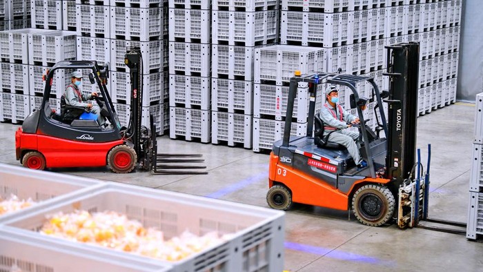 GANZHOU, CHINA - NOVEMBER 27: Employees uses forklifts to transfer naval oranges at a processing plant on November 27, 2022 in Ganzhou, Jiangxi Province of China. (Photo by Zhu Haipeng/VCG via Getty Images)