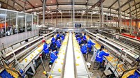 Begini penampakan pabrik di kawasan Ganzhou, China, yang tengah melakukan proses sortir dan packing buah jeruk, Minggu (27/11/2022).