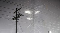 Menurut Pepco, perusahaan utilitas wilayah Washington, akibat kecelakaan tersebut, sekitar lebih dari 120.000 pelanggan tak mendapatkan aliran listrik.