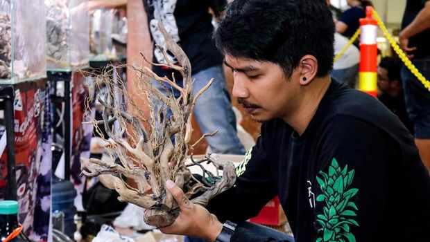 Aquascape malang