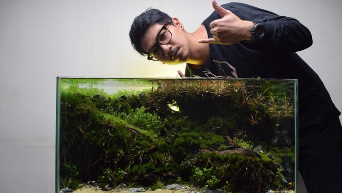 Aquascape malang