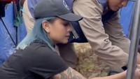 Dengan telaten, Awkarin membagikan nasi bungkus ke korban pengungsi, termasuk anak-anak. Ia mengucapkan terima kasih atas donasi dari netizen.