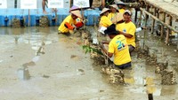 Mengusung misi ekonomi berkelanjutan dan mendukung pengurangan emisi karbon, Bank Mandiri menggandeng PSE UGM dalam konservasi alam tersebut.