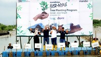 Direktur Hubungan Kelembagaan Bank Mandiri Rohan Hafas, Wakil Rektor Universitas Gadjah Mada (UGM) Bidang Penelitian, Pengembangan Usaha, dan Kerja Sama Ignatius Susatyo Wijoyo, Bupati Demak Eistianah, dan Kepala Pusat Studi Energi (PSE) UGM Sarjiya melakukan penanaman pohon mangrove di Desa Bedono, Demak, Jawa Tengah, Senin (28/11).
