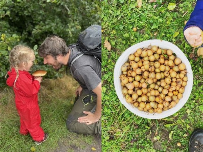 Demi Hemat Rp 1,8 Juta per Minggu, Keluarga Ini Rela Cari Makan di Hutan