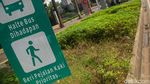 Duh! Tanaman Trotoar Sudirman Dekat GBK Rusak