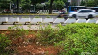 Beberapa tanaman di trotoar Jalan Sudirman dekat Gelora Bung Karno (GBK), Jakarta, tampak rusak pada pantauan hari Senin (28/11/2022) pukul 10.30 WIB.