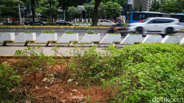 Duh! Tanaman Trotoar Sudirman Dekat GBK Rusak