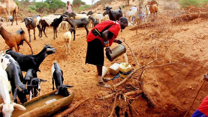 Kekeringan Parah di Kenya, Warga Gali Lubang Untuk Cari Air NAIROBI, KENYA - NOVEMBER 23: A man tries to get clean water during the food and water shortages which also affects the areas where people live in Nairobi, Kenya on November 23, 2022. A drought in northern Kenya is worsening, despite the country receiving sporadic rainfall in November, which weather forecasters say will not be sufficient. Chris Ngetich, a climate scientist from the Kenya Meteorological Department (KMD), in a statement noted that Γ’in most parts of the country, weΓ’re likely to receive depressed rainfall, and increased probabilities (of such rainfall) are likely over the eastern and northern sectors.Γ’Β KMD has said that during October, November and December, most areas are likely to see a generally poor distribution of rain but noted that despite the lack of sufficient rainfall, isolated storms capable of causing flash floods are possible. (Photo by Andrew Wasike/Anadolu Agency via Getty Images)