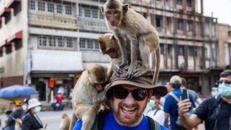 Kampung Monyet di Thailand Ingin Basmi Monyet Perampok