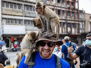 Kampung Monyet di Thailand Ingin Basmi Monyet Perampok